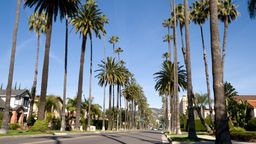 Encuentra vuelos baratos desde Paraguay $[,, preposition:'to ']$[,, article:'to ']$[,, place:'to']