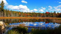 Alquileres vacacionales - Muskoka, Sonda de Parry y Parque Algonquin