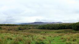 Hoteles en Lago Lomond