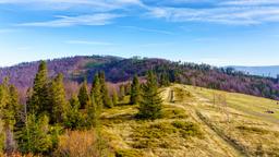 Alquileres vacacionales - Silesia