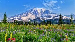 Hoteles en Mount Rainier National Park