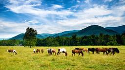 Hoteles en Tennesse