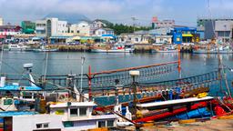 Alquileres vacacionales - Isla de Jeju