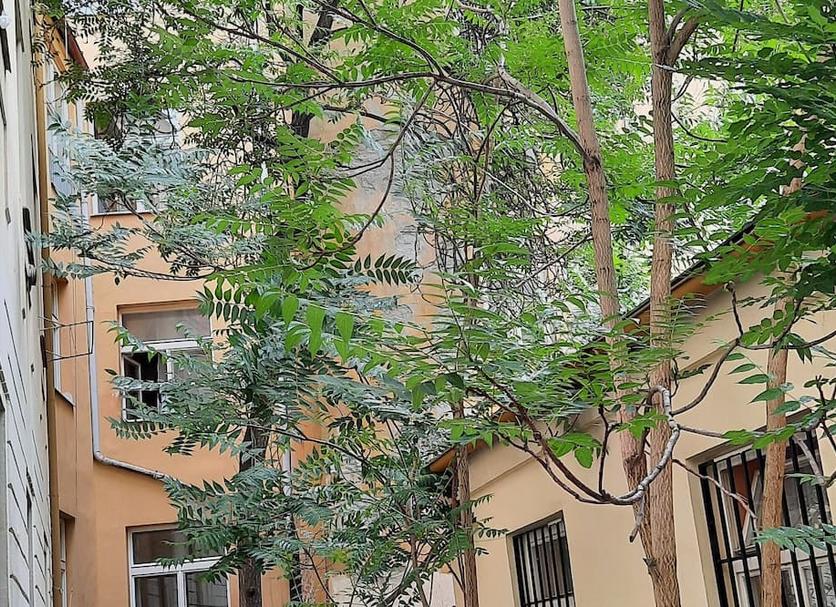 Vista del exterior Foto