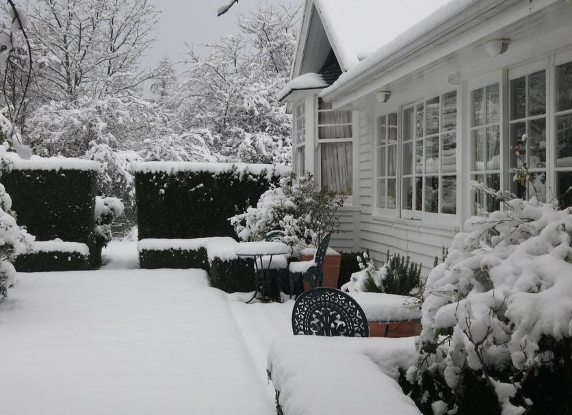 Patio Foto