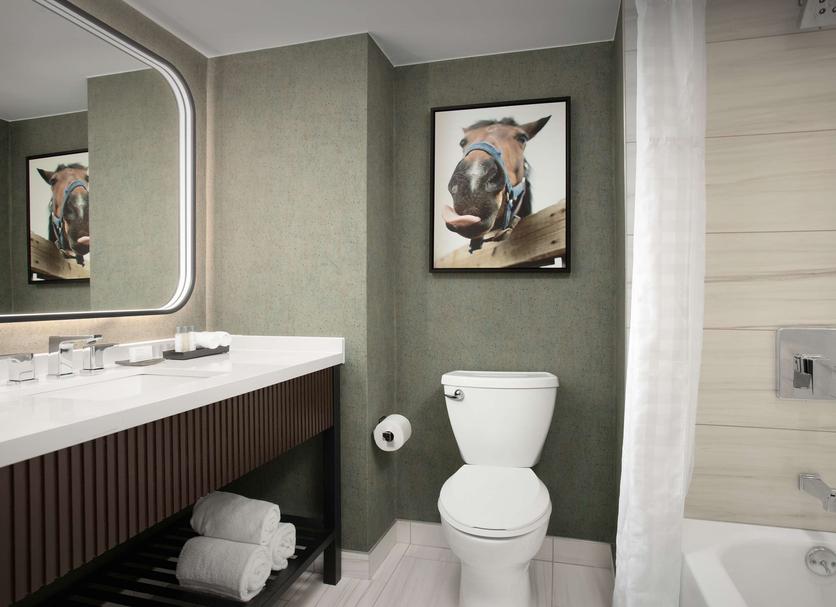 Baño Foto