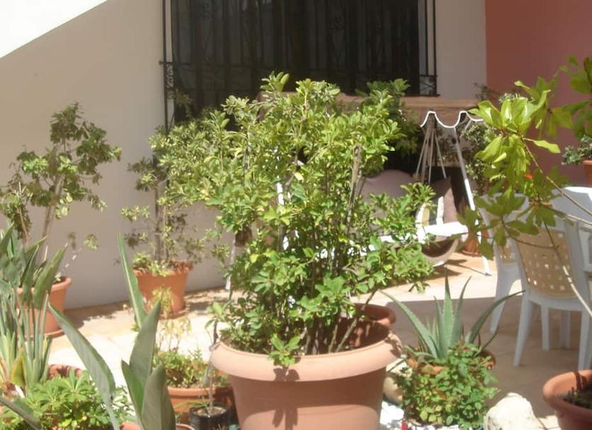 Vista del exterior Foto