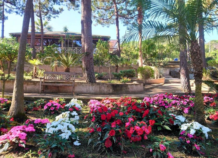 Vista del exterior Foto