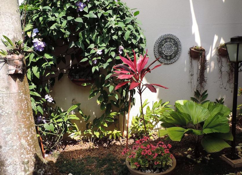 Vista del exterior Foto