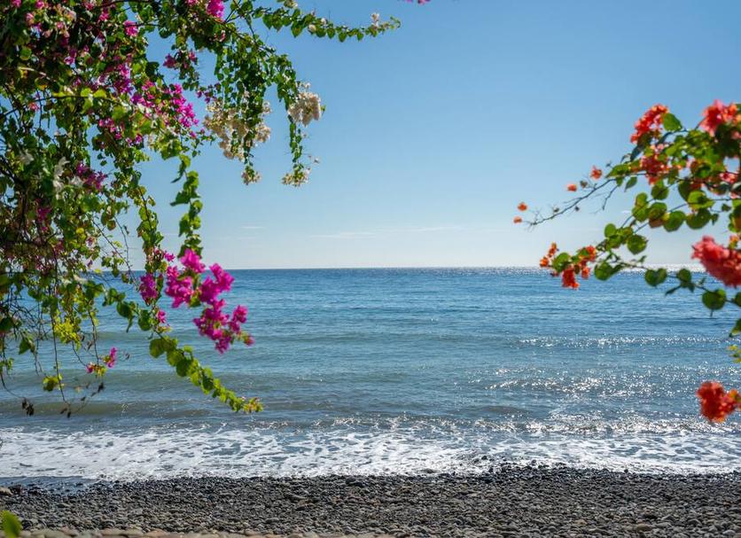 Playa Foto