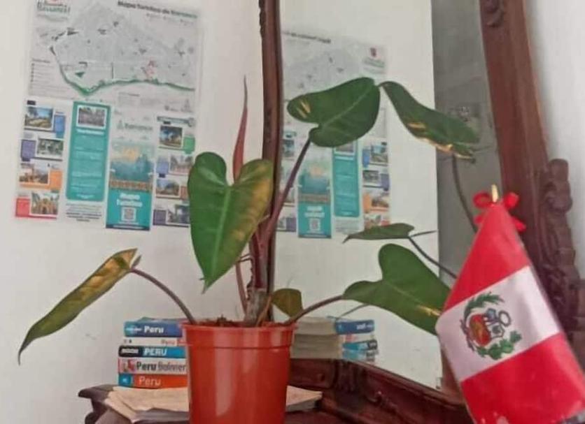 Servicio de la habitación Foto