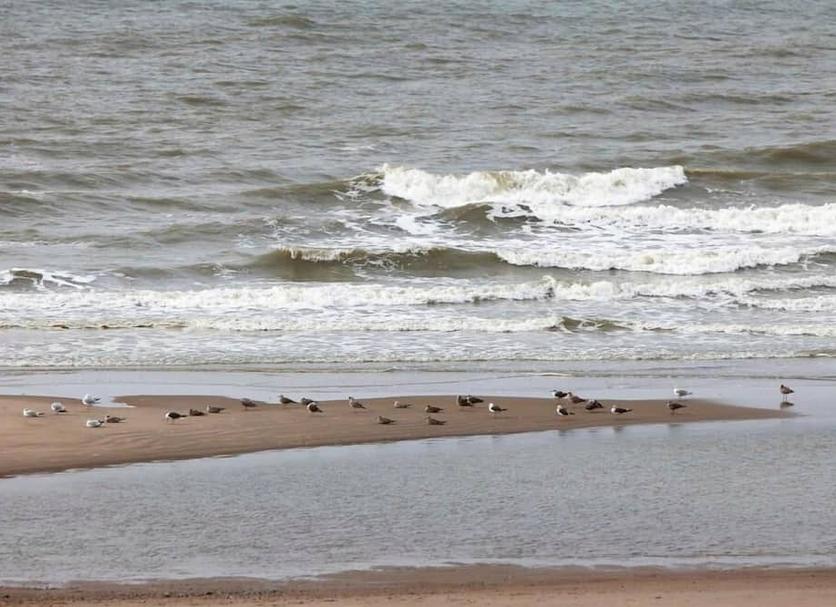 Playa Foto