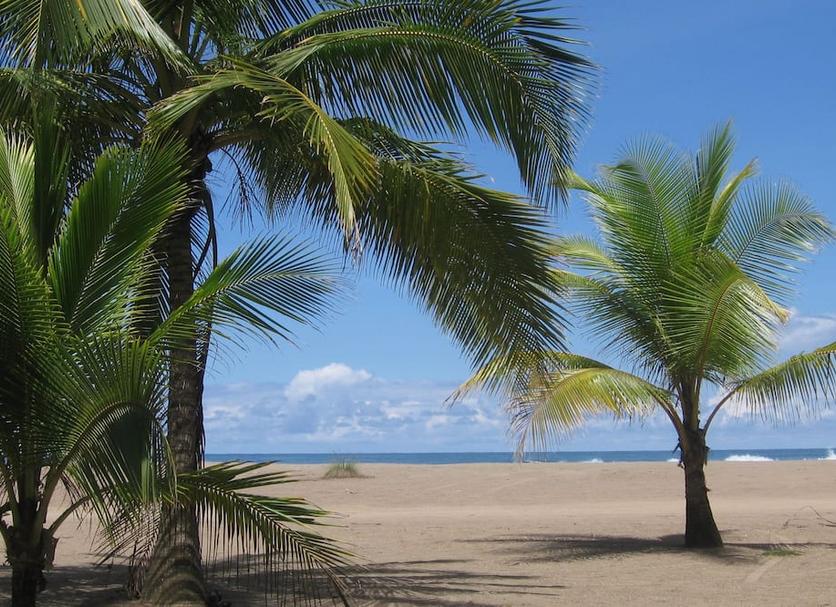 Playa Foto