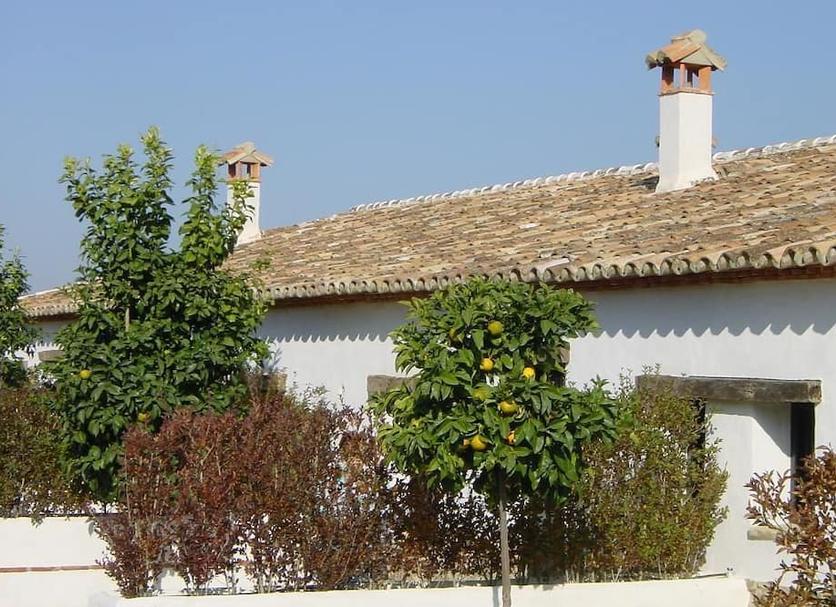 Vista del exterior Foto