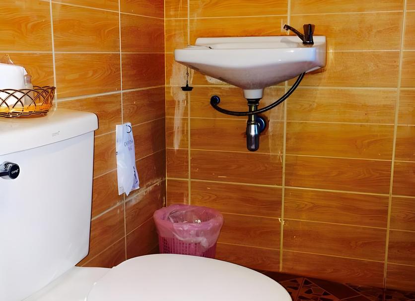 Baño Foto