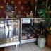 Tienda