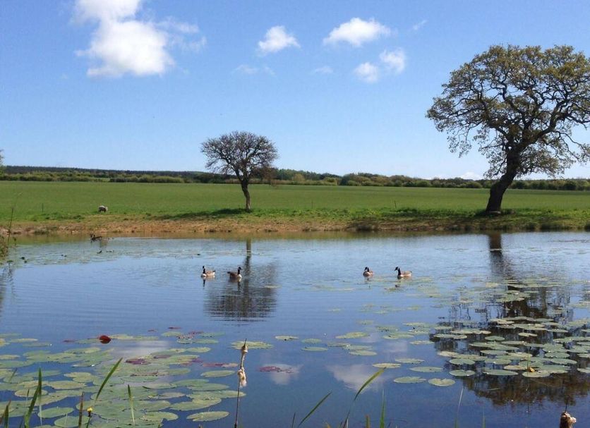 Vista del exterior Foto
