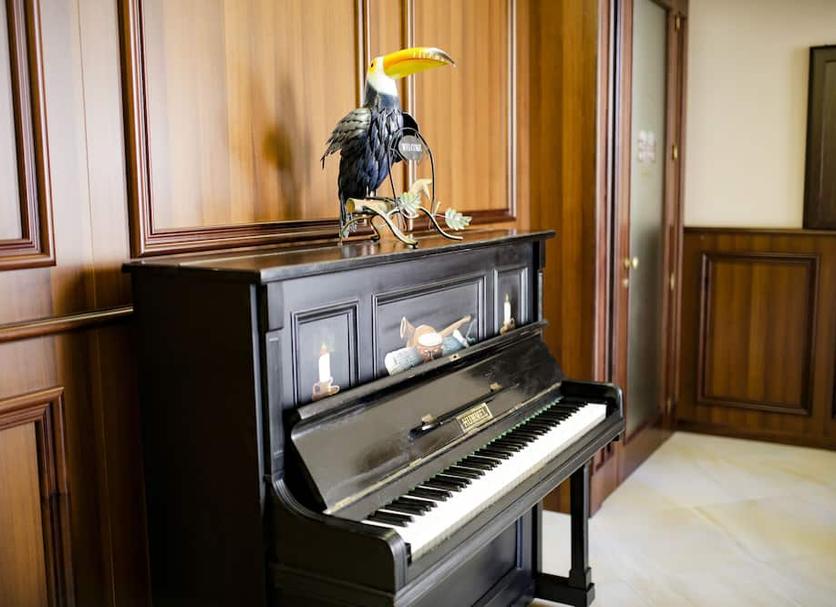 Servicio de la habitación Foto