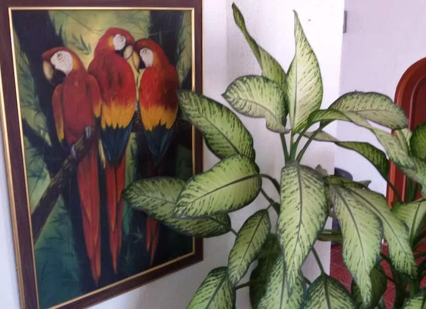 Servicio de la habitación Foto