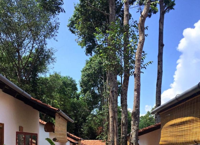 Vista del exterior Foto