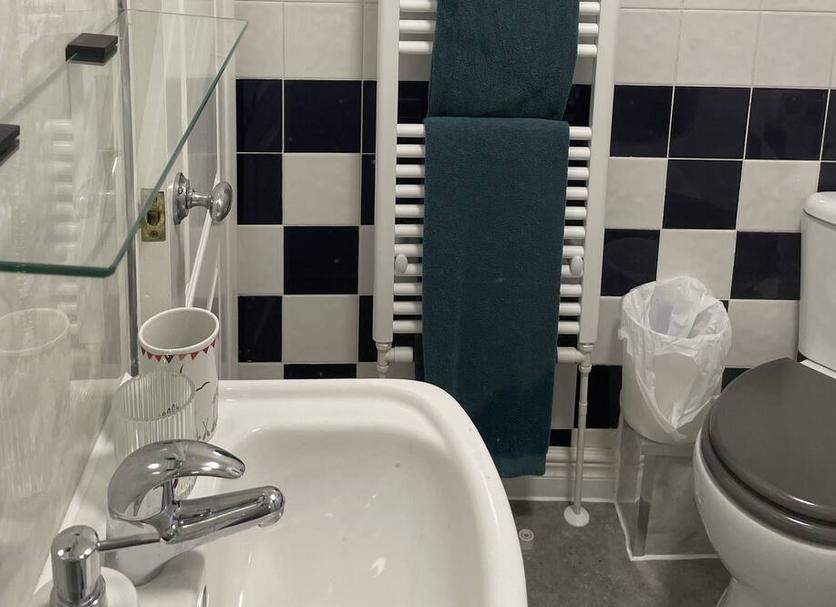 Baño Foto