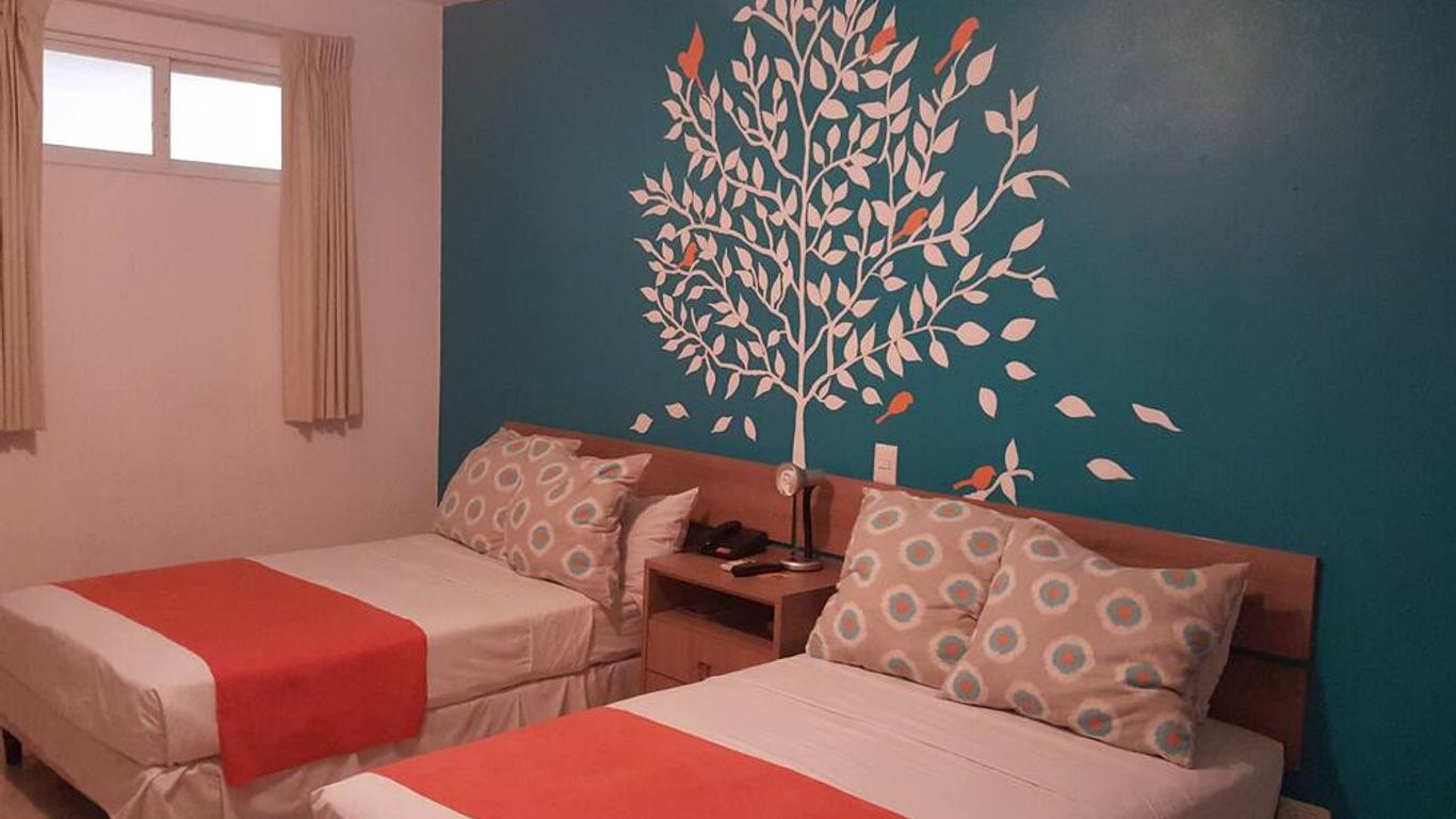 Hotel Arbol De Los Suenos