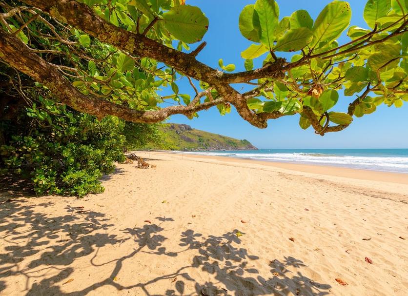 Playa Foto