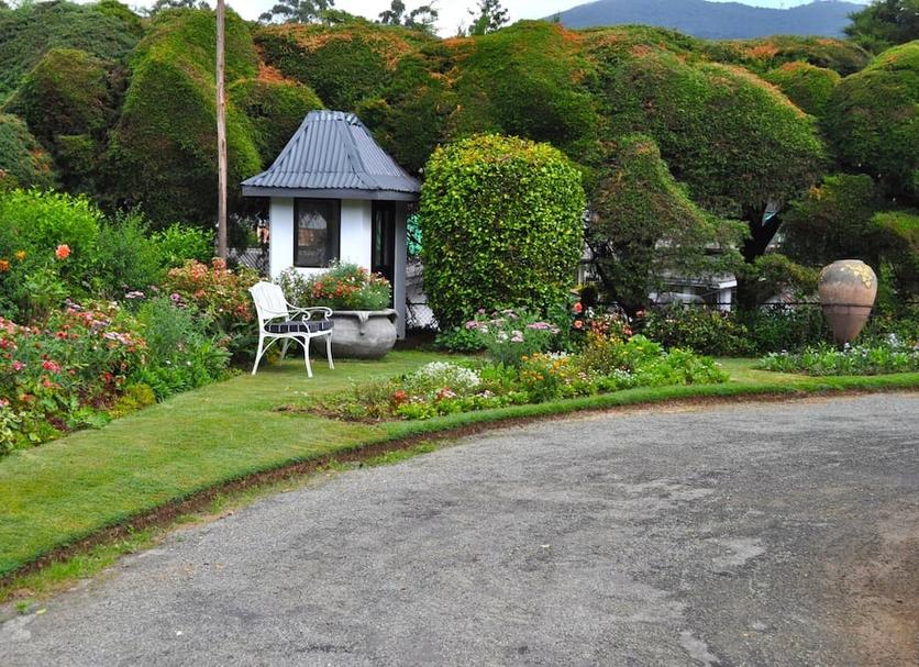 Patio Foto