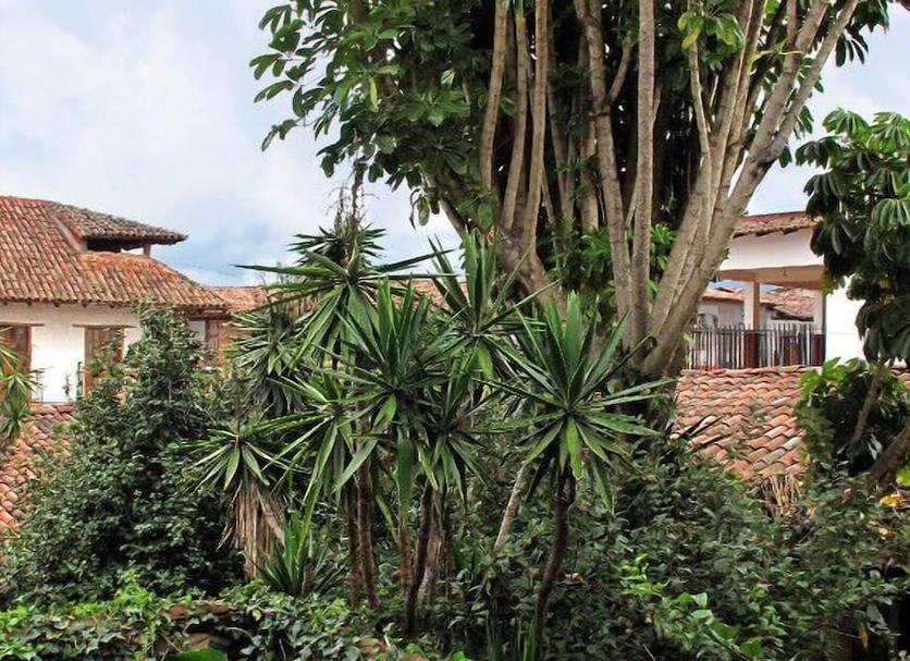 Vista del exterior Foto
