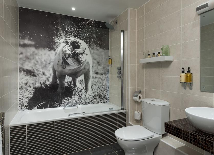 Baño Foto