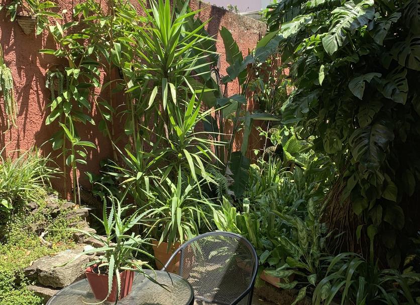 Patio Foto