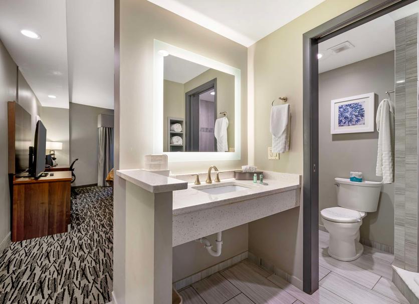 Baño Foto
