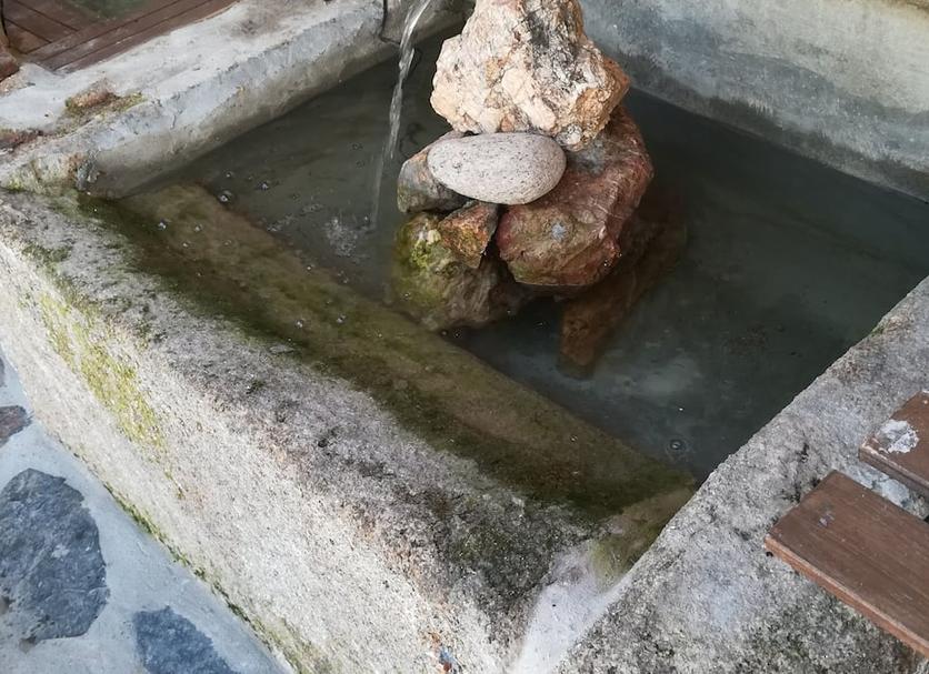 Otros Foto