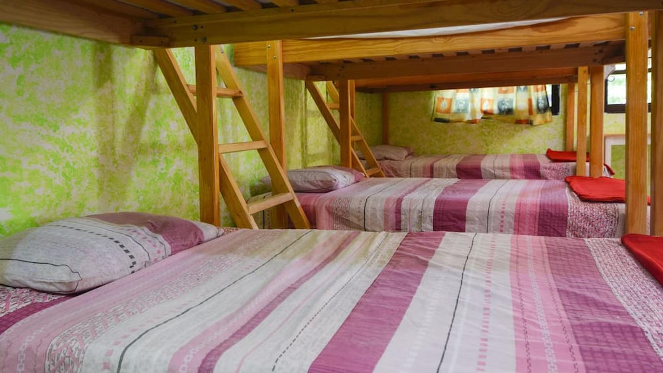 Amigos Hostel Cozumel