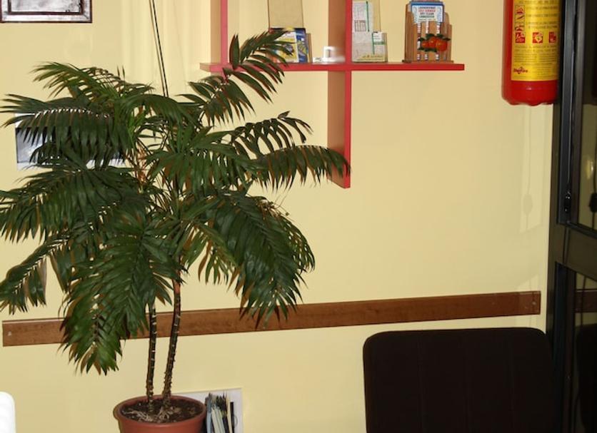 Servicio de la habitación Foto