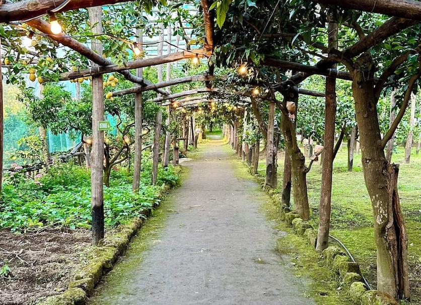 Vista del exterior Foto