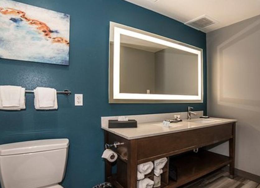 Baño Foto