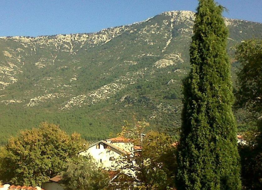 Vista del exterior Foto