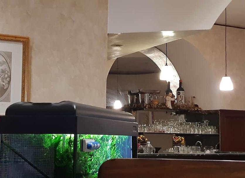 Otros Foto