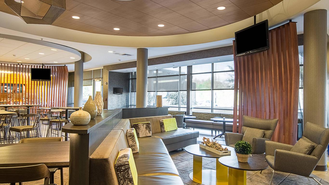 SpringHill Suites by Marriott Tampa North/I-75 Tampa Palms