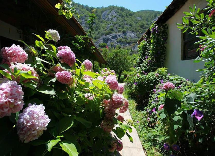 Vista del exterior Foto
