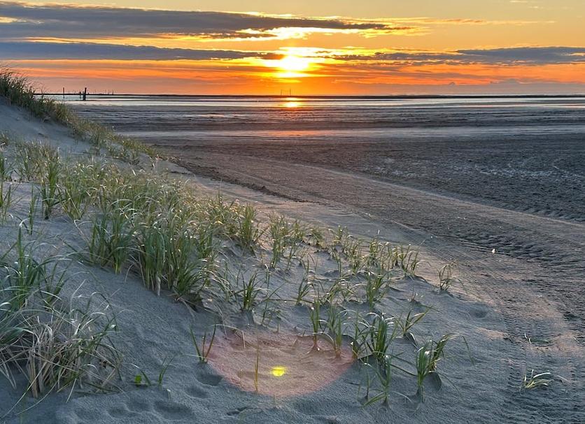 Playa Foto