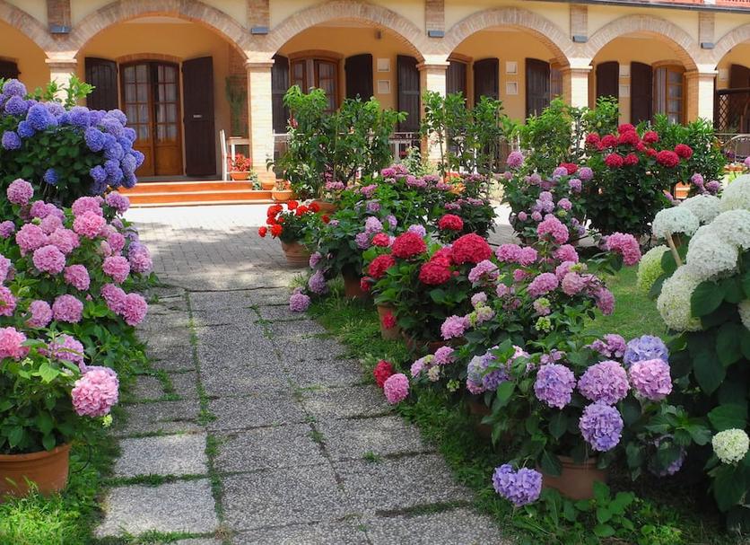 Vista del exterior Foto
